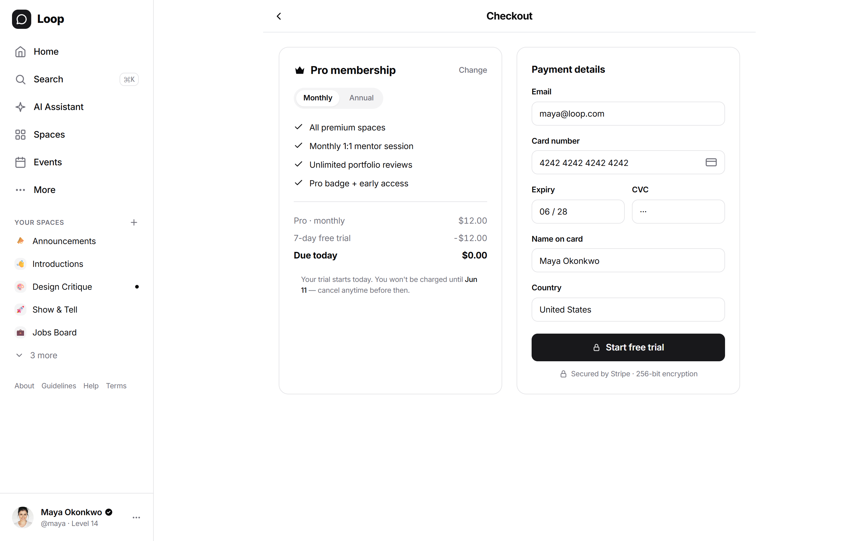 Native Stripe checkout β in your brand, your domain